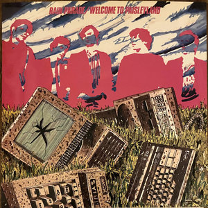 Welcome To Paisleyland cover