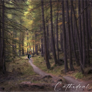 Cathedral cover