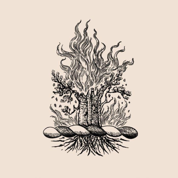 邦楽 Predawn/absence LP Absence (LP - 2021) | Suneater