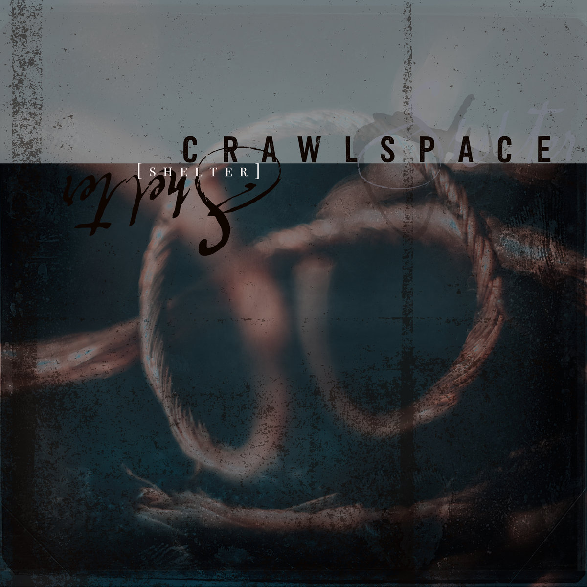 This image has an empty alt attribute; its file name is a2736631584_10.jpg