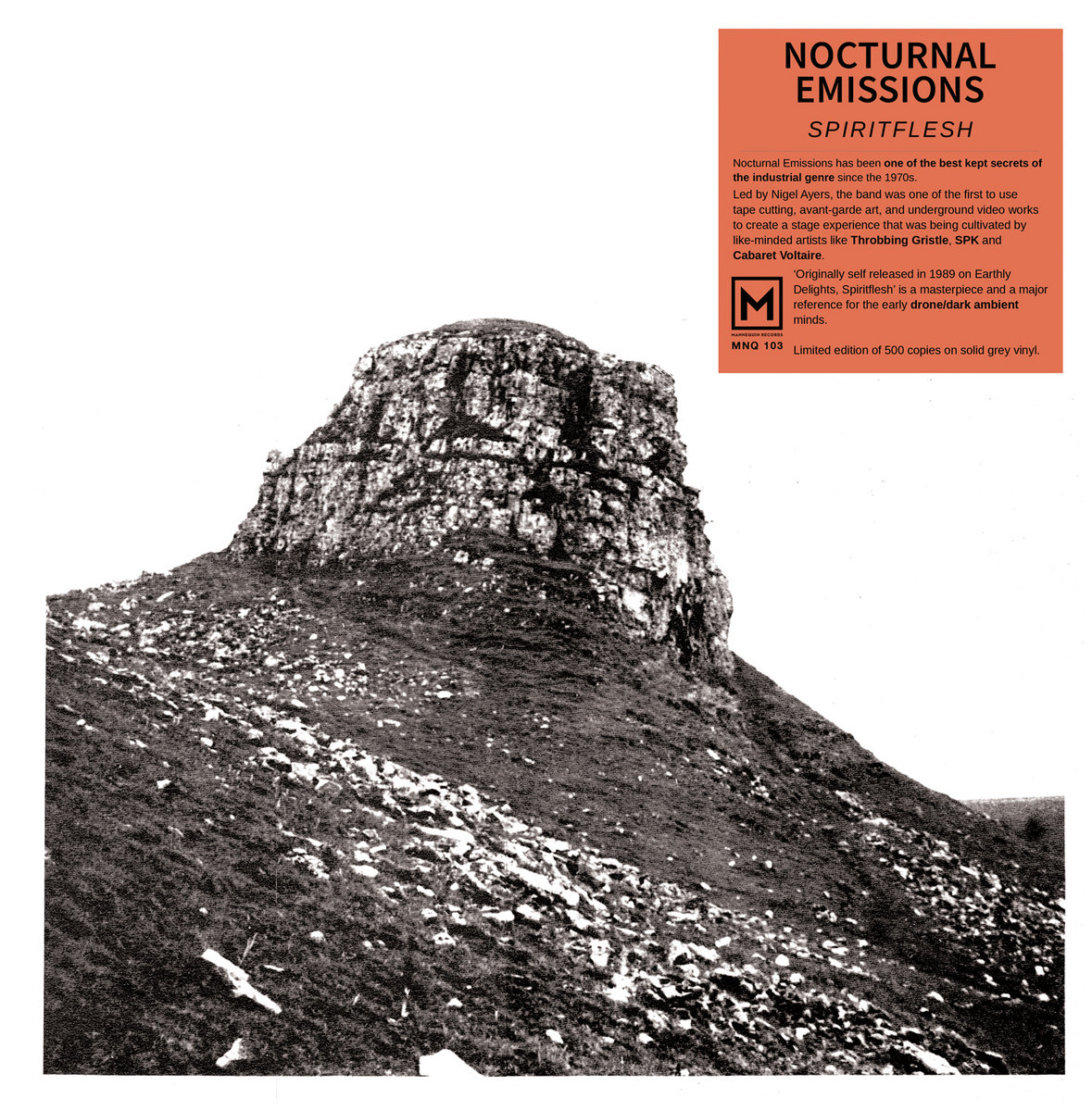 洋楽 NOCTURNAL EMISSIONS / SPIRITUALFLESH LP Nocturnal Emissions ‎– Spiritflesh | Nocturnal Emissions