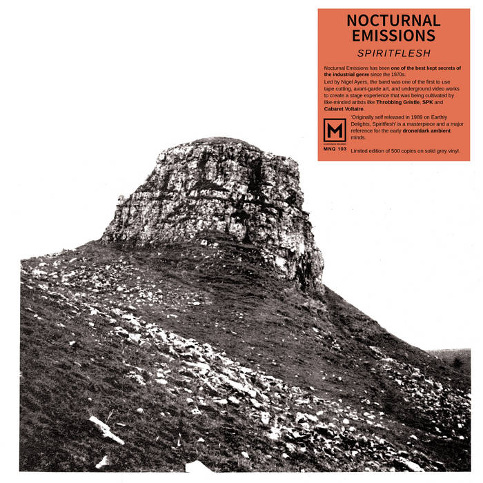 洋楽 NOCTURNAL EMISSIONS / SPIRITUALFLESH LP Nocturnal Emissions ‎– Spiritflesh | Nocturnal Emissions