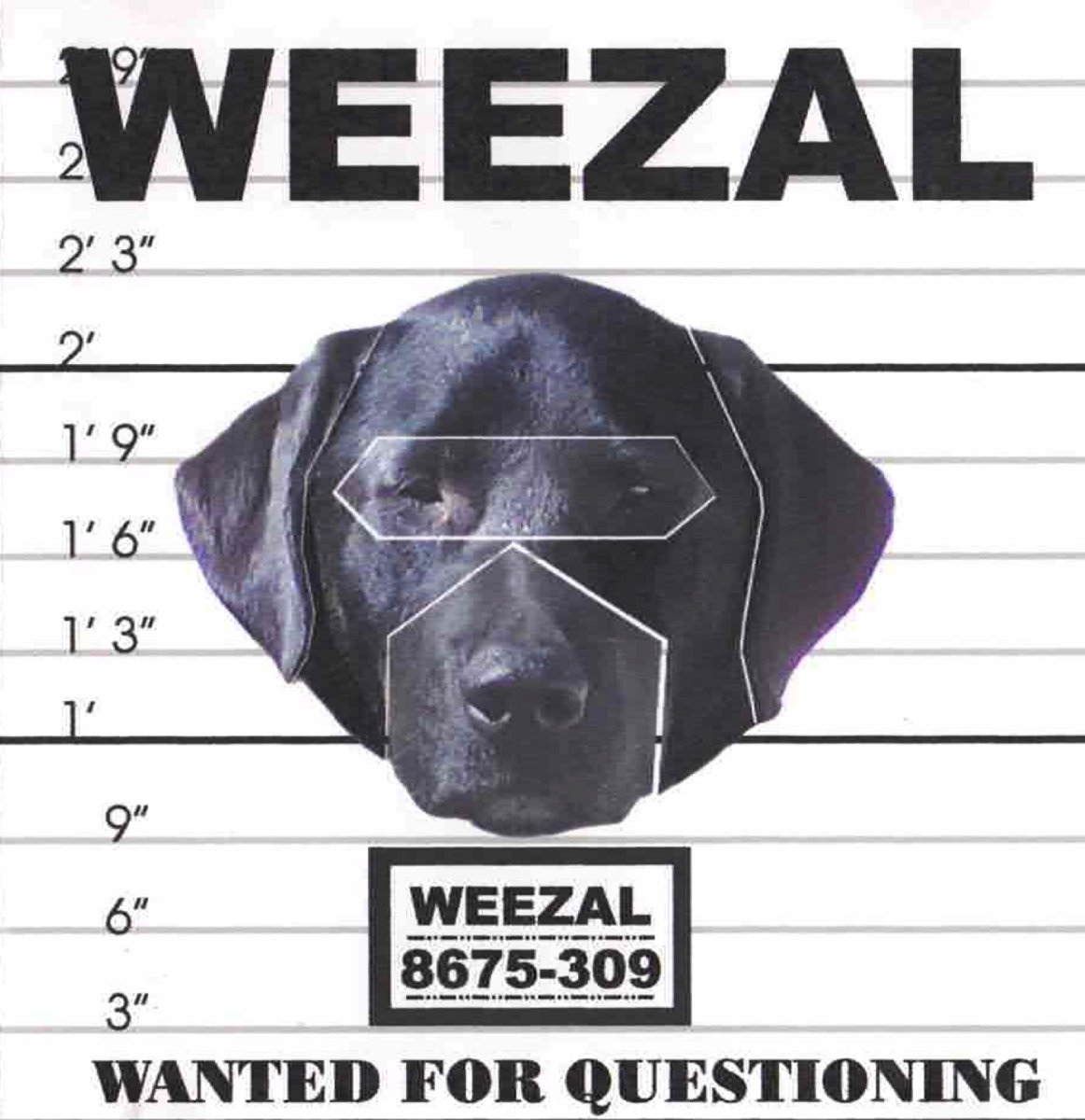 Wanted For Questioning Weezal