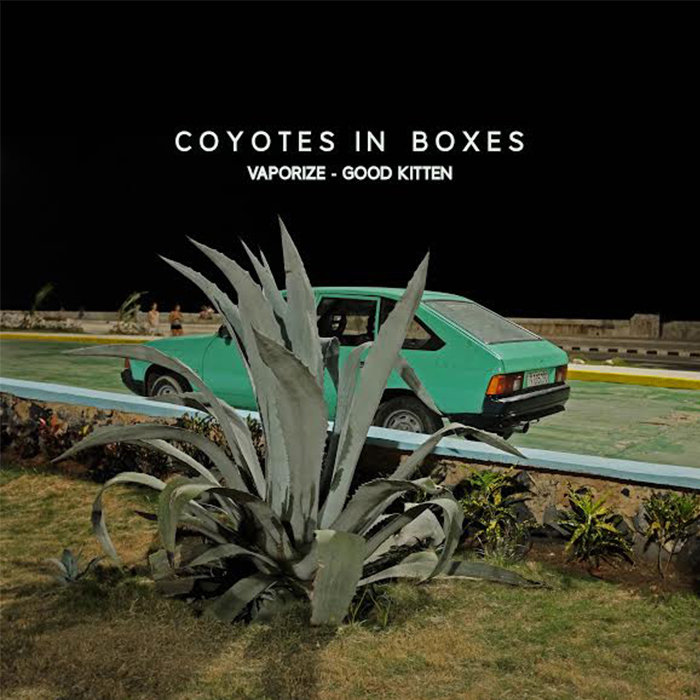 Vaporize (Single) Coyotes in Boxes