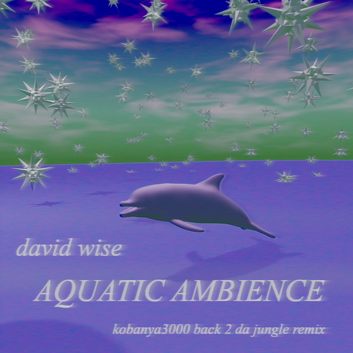David Wise - Aquatic Ambience (KOBANYA3000 BACK 2 DA JUNGLE REMIX