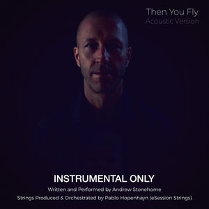 Then You Fly (Acoustic Version) [Instrumental] cover