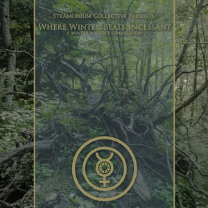 Where Winter Beats IncessantVarious Artists cover