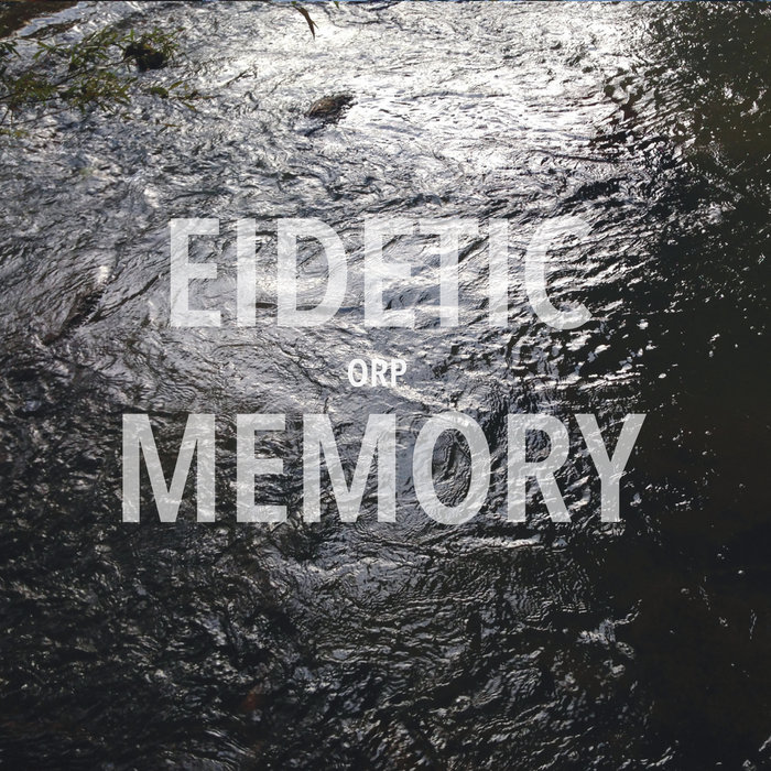 get eidetic imagery get eidetic imagery
