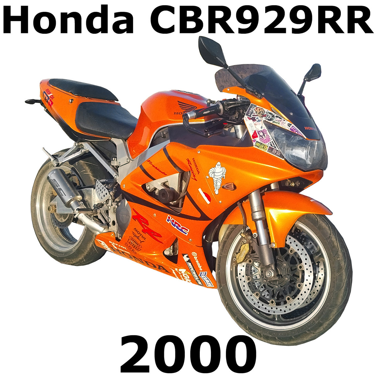a2741258585_10.jpg