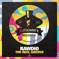 Rawdio - The Real Groove cover art
