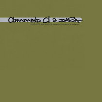 Command D & Zara — 2Pulse