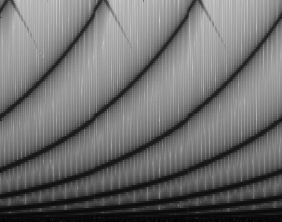 paper-tigers-lazuline-sabrewing