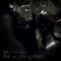 Felnyrii Live: The Laughing Door cover art