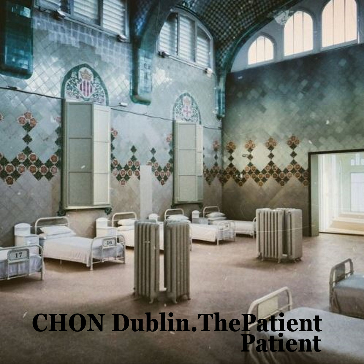The Patient Patient cover