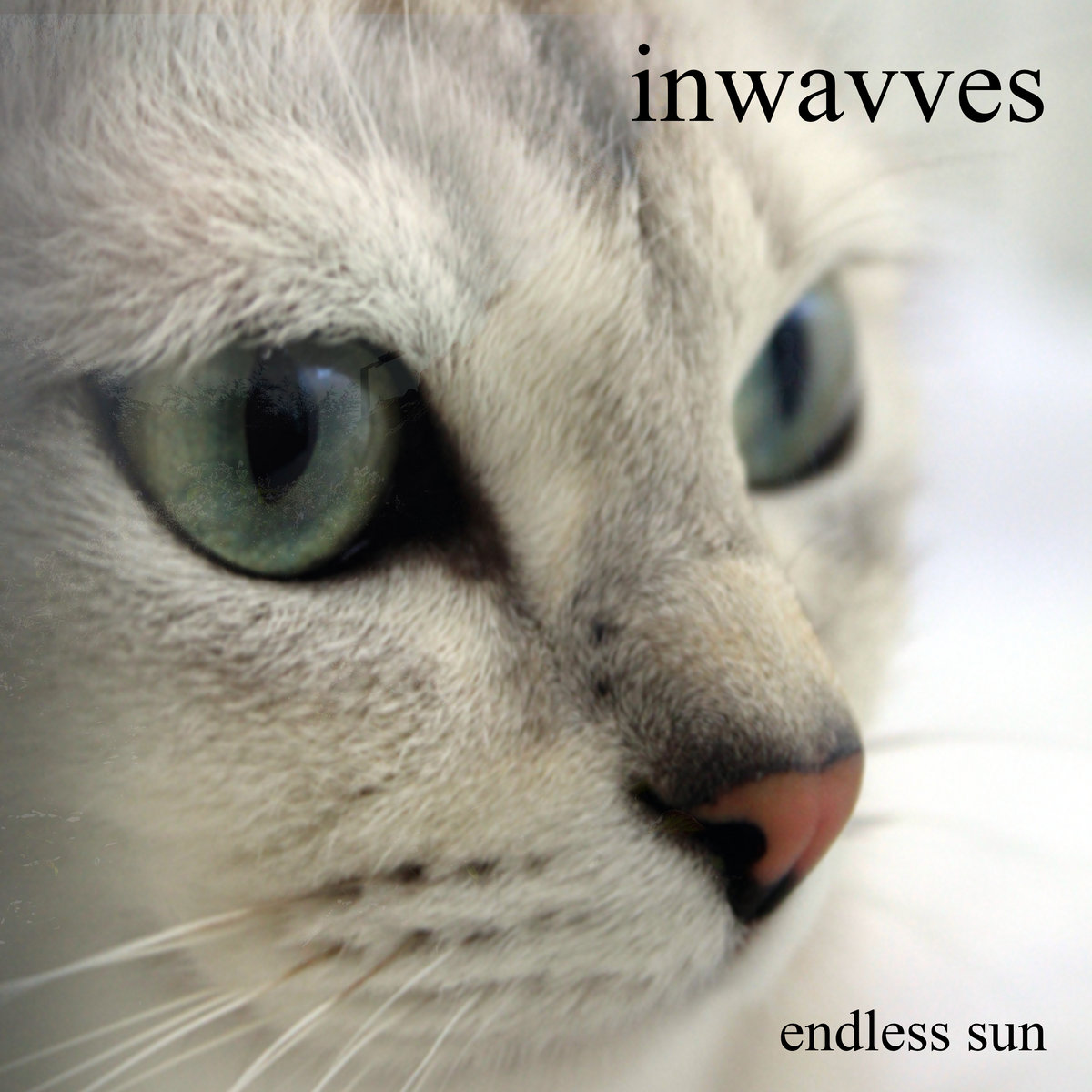Endless Sun cover