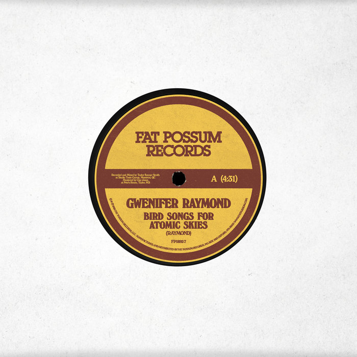 Pochette de Bird Songs For Atomic Skies par Gwenifer Raymond
