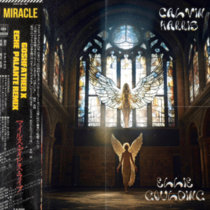 Calvin Harris x Ellie Goulding - Miracle [Goshfather x Eche Palante Remix] cover art