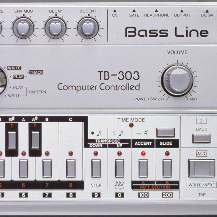 ROLAND TB-303 | Vintage Synth Samples