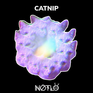 CATNIP cover