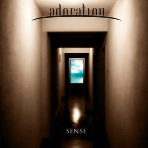 Sense cover