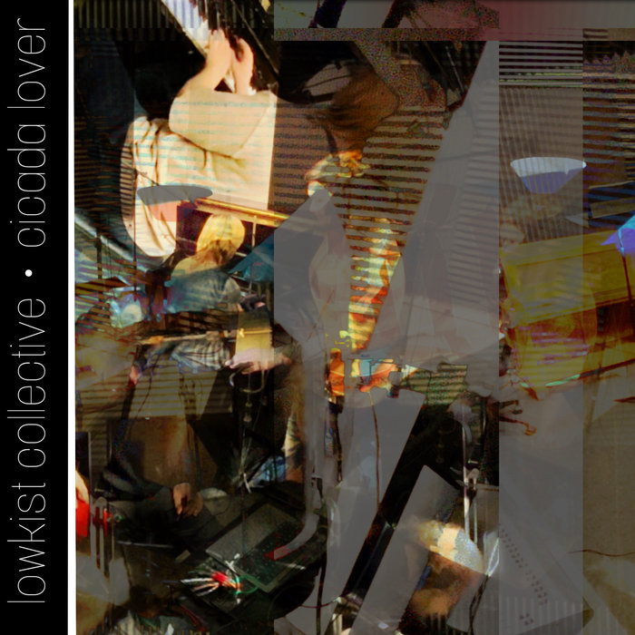 cicada lover for improv piano beginner theremin and no input