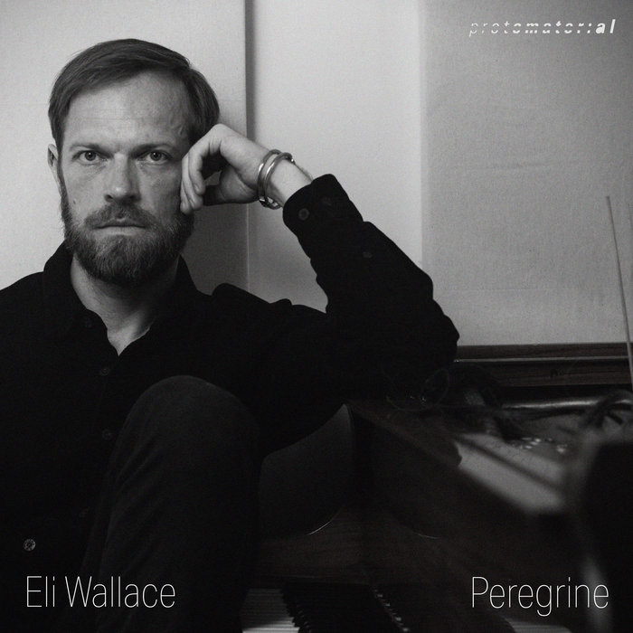 Pochette de Peregrine - LP par Eli Wallace