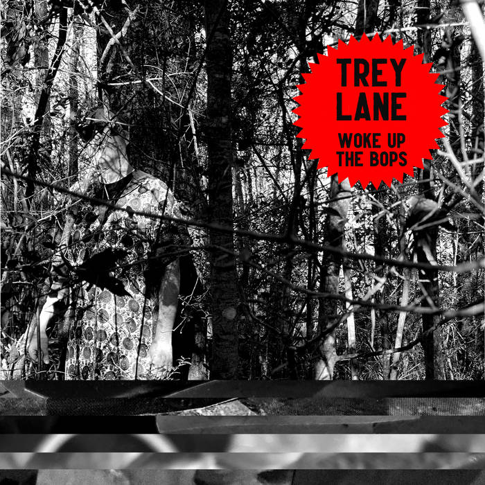 Need gone. Wake the lane photo. need gone песня.
