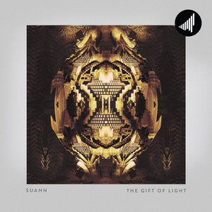 The Gift Of Light (STRTEP077) cover