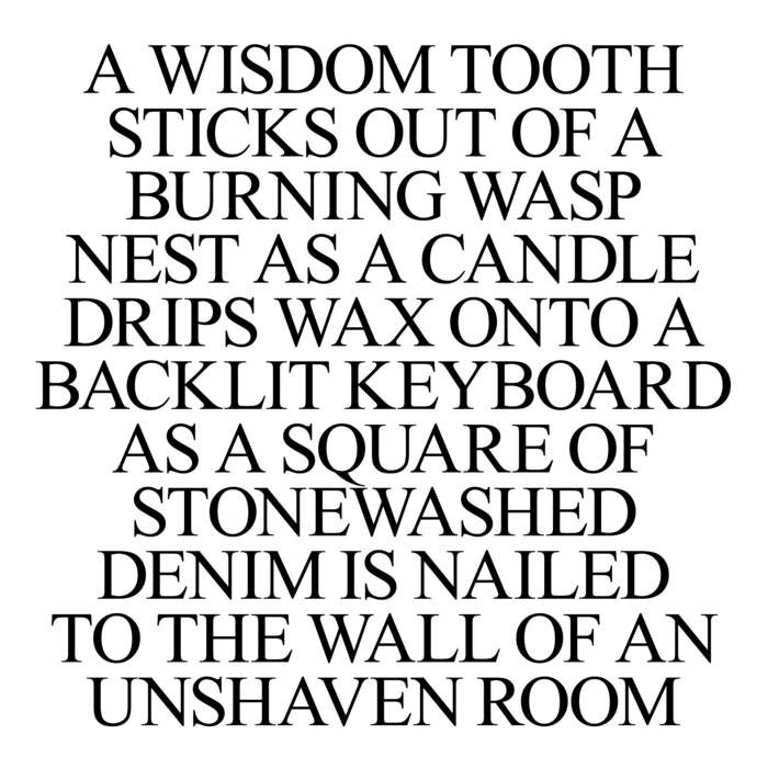 Scorpions, Bats & Spiders | Amnesia Scanner & Freeka Tet | Amnesia.