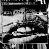 Dirt Chamber vs. Harm Signals