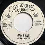 Jah Bible,Barry issacs