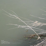 Twig and Twine
