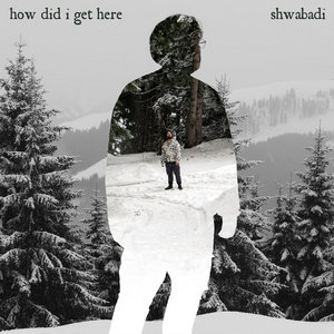 How Did I Get Here? cover