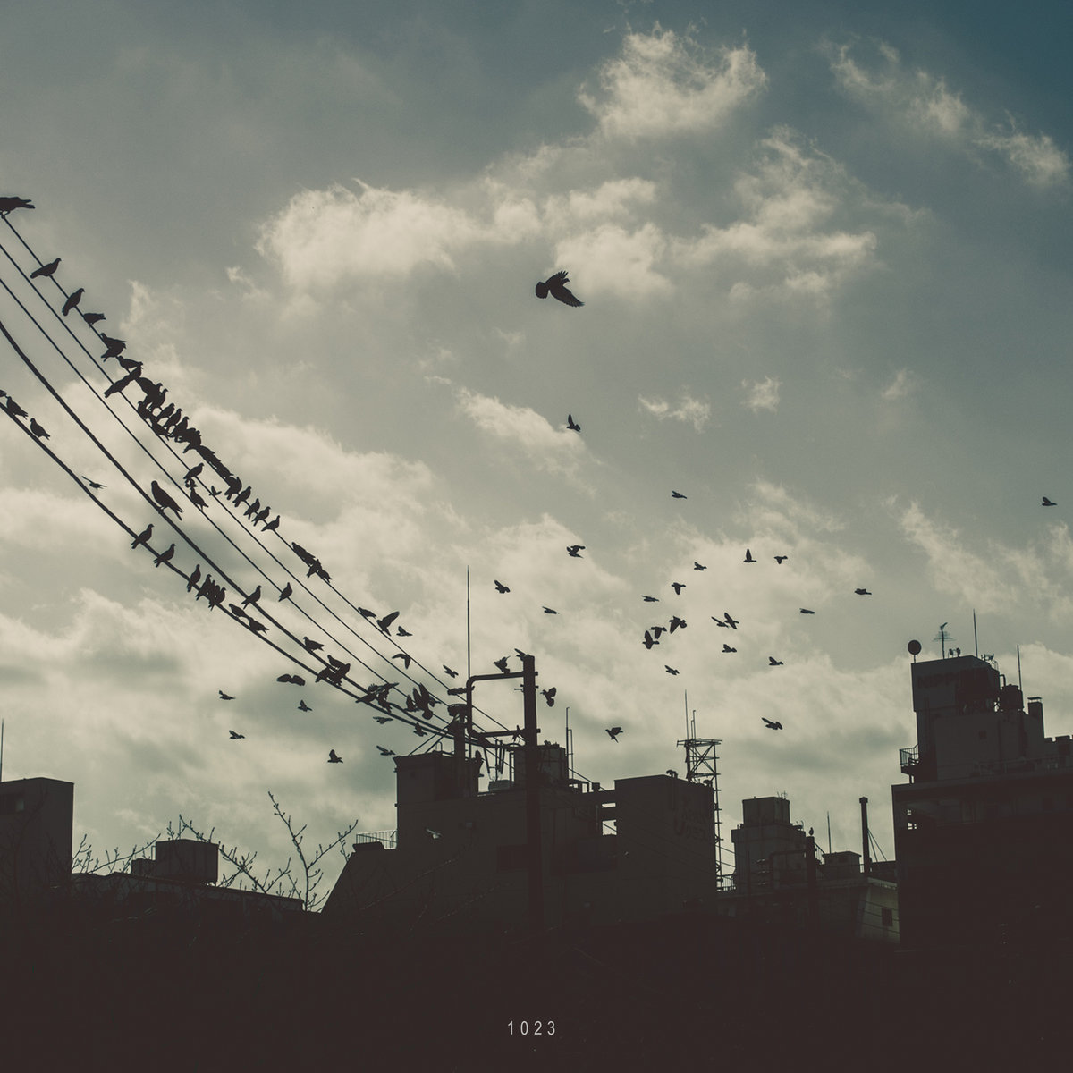 1023. by Idealism