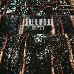 Purposeful Wanderer cover