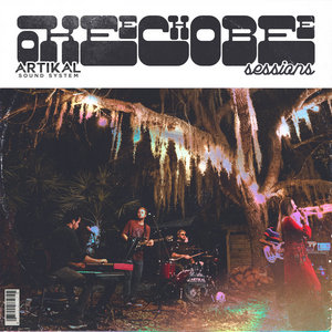 Artikal Sound System — Okeechobee Sessions
