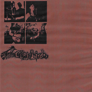 Clay Birds — living to tell the tale