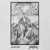 Aerial Ruin / Panopticon Split LP