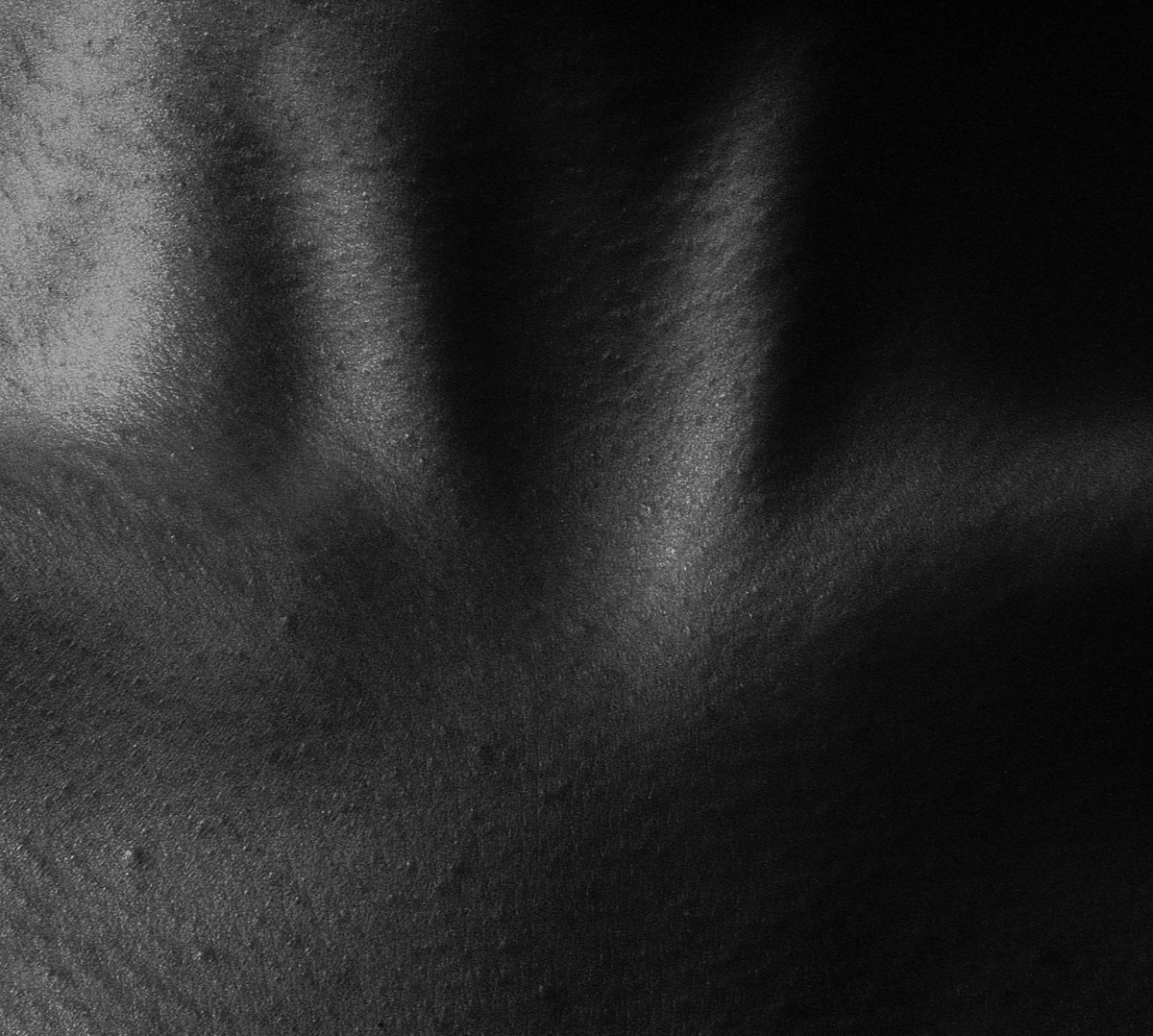 [Obrazek: a2764353614_10.jpg]