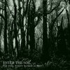 The Still Forest, Bathed in Mist