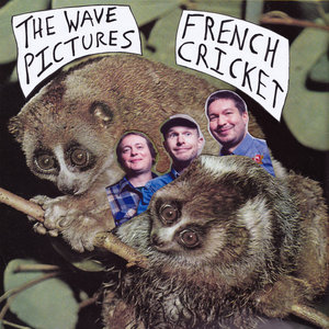 French Cricket cover