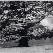 Faulty Language cover art