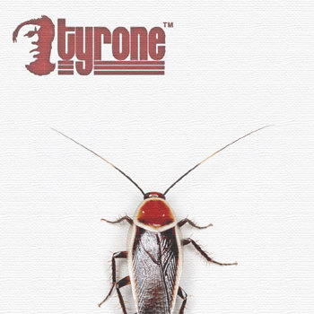 Beloved summary pdf picture