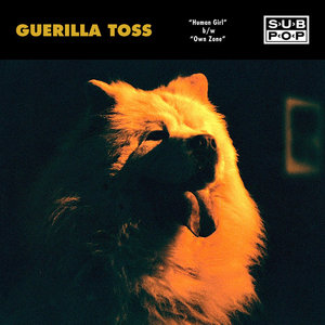Guerilla Toss — Human Girl