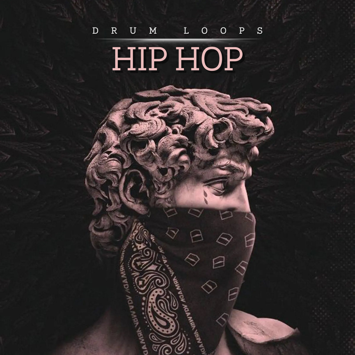 Hip Hop Drum Loops DeMke HHSP