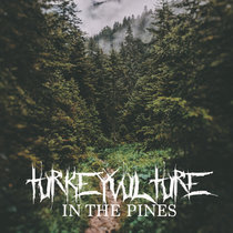In the Pines -- Acoustic Demo cover art
