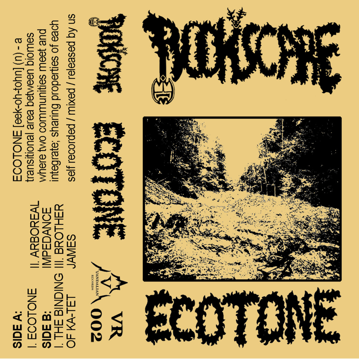 definition ecotone definition ecotone
