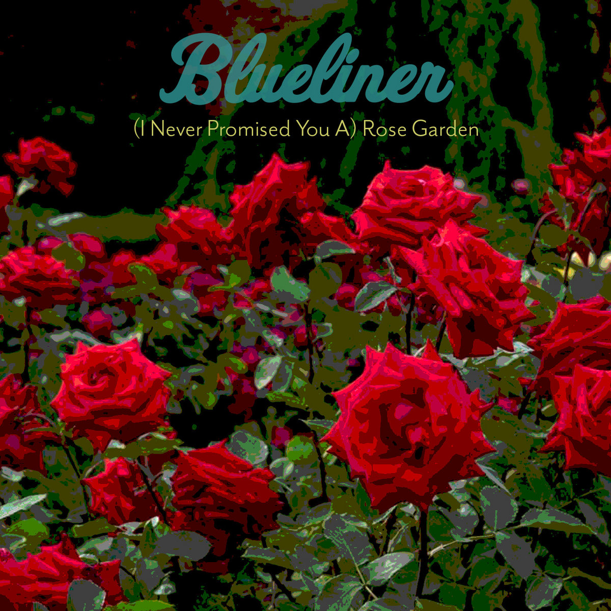 I Never Promised You a Rose Garden by Hannah Green I Never Promised You a Rose Garden by Hannah Green