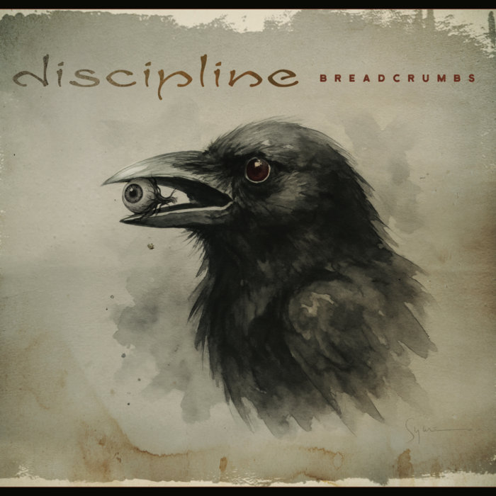 disciplineband.bandcamp.com
