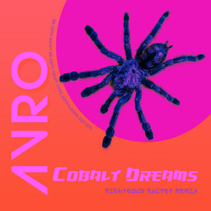 Avro — Cobalt Dreams (Righteous Racket Remix)